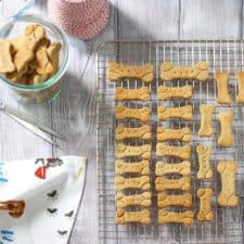 "Pumpkin Pie" Buckwheat Dog Biscuits-image
