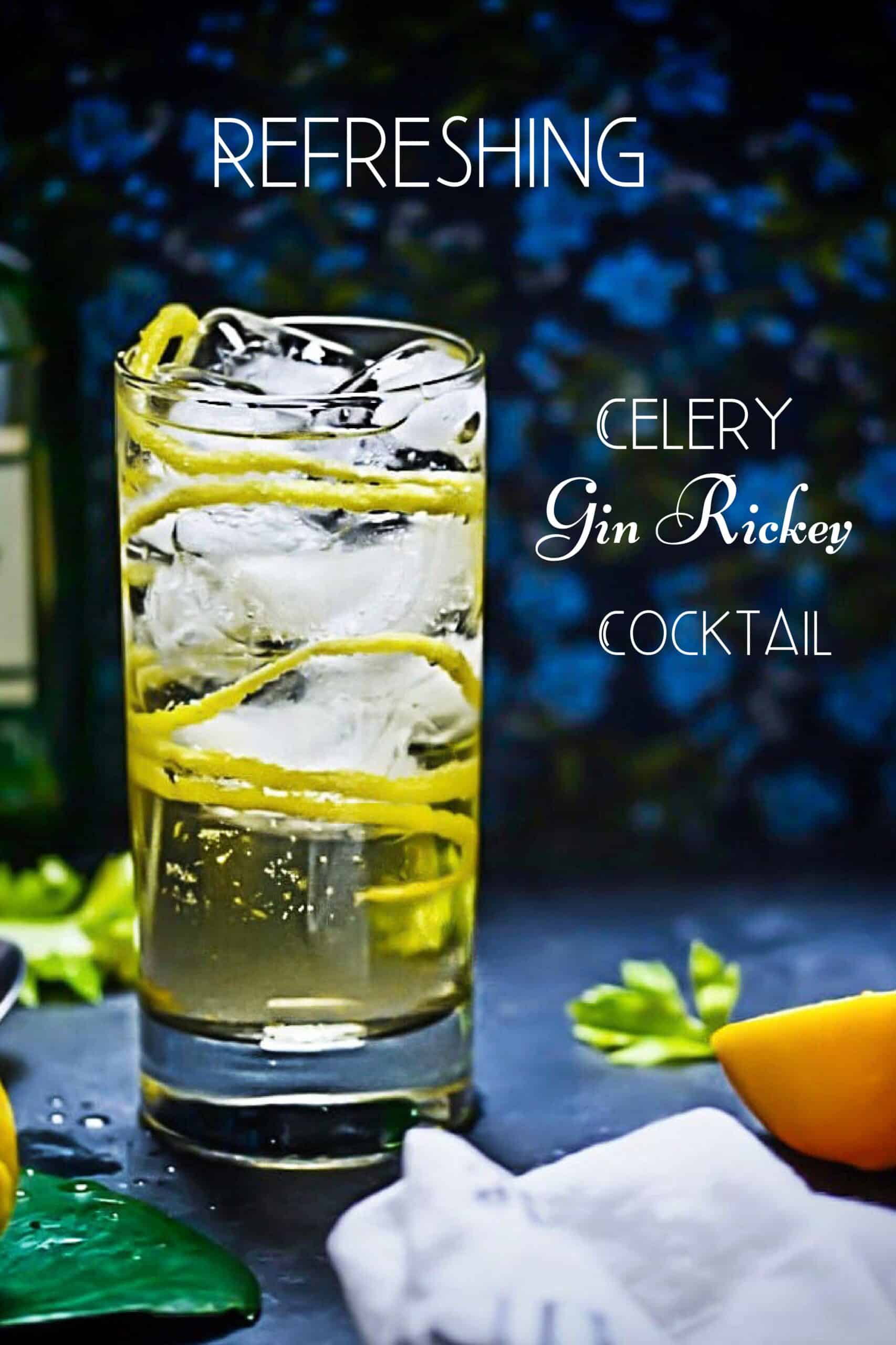 Gin Rickey Pinterest Pin