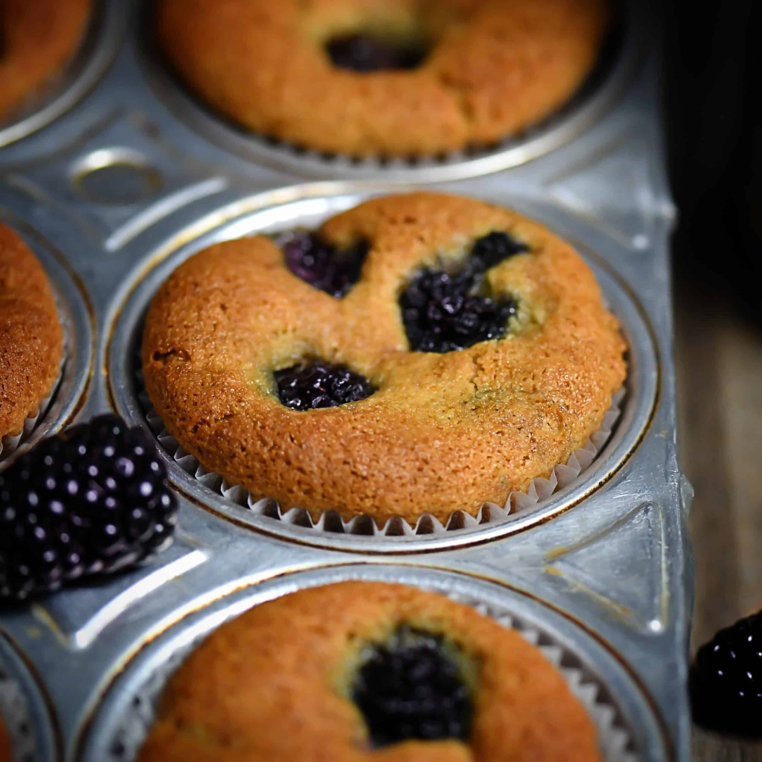 Grain-Free Blackberry Muffin Recipe