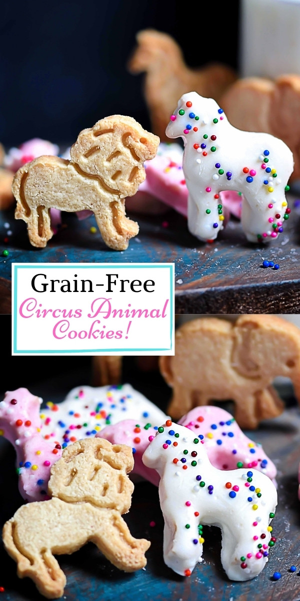 Grain-Free Animal Cookie Pin